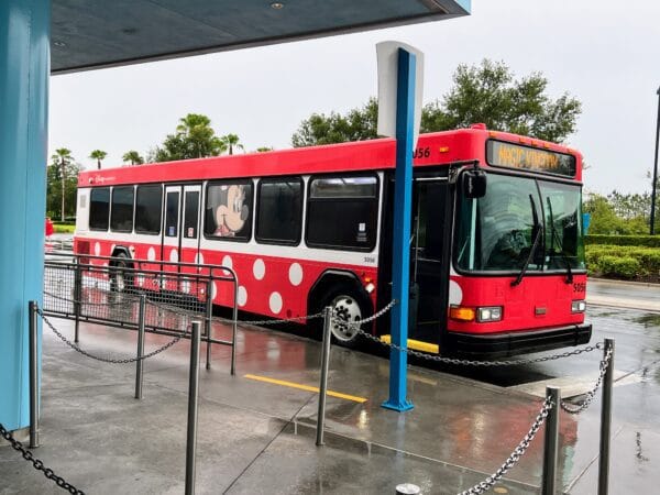 Disney bus disney transportation 