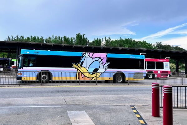 animal kingdom bus daisy