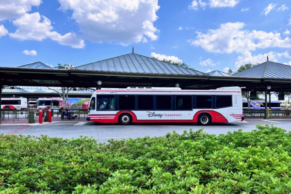 magic kingdom bus loop