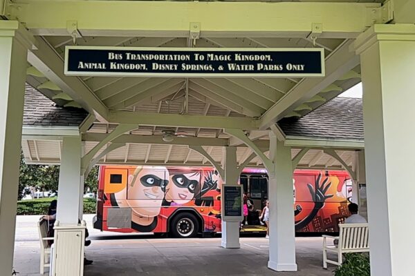 bus to disney springs