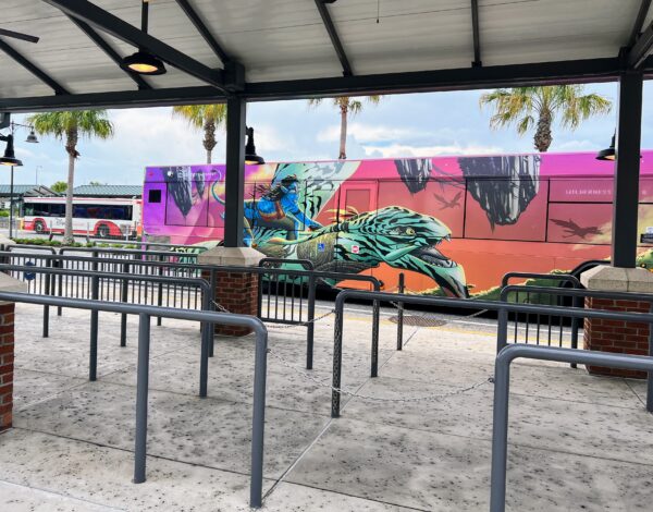 disney springs bus stop