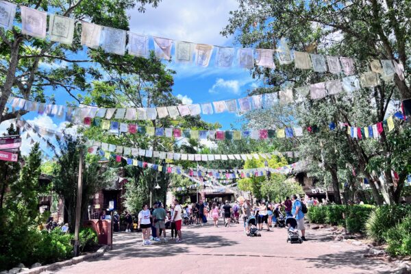 The Asia section of Disney's Animal Kingdom, heavily themed and shaded