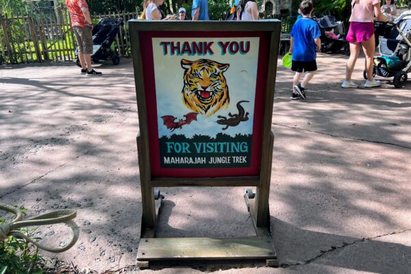 Inside the Maharajah Jungle Trek walking trail at Animal Kingdom