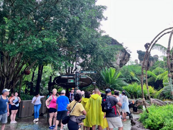 The entrance to Na'vi River Journey in Pandora