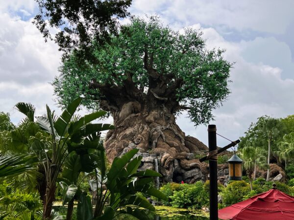 The Tree of Life at Disney's Animal Kingdom