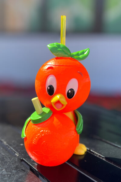 orange bird