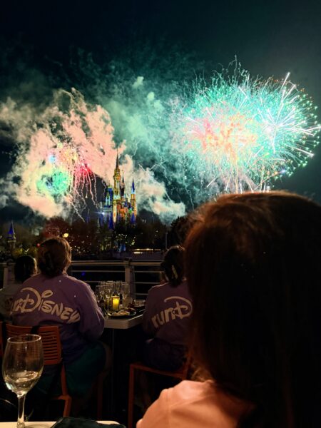 Adults watch Happily Ever After fireworks over Cinderella Castle at Magic Kingdom.