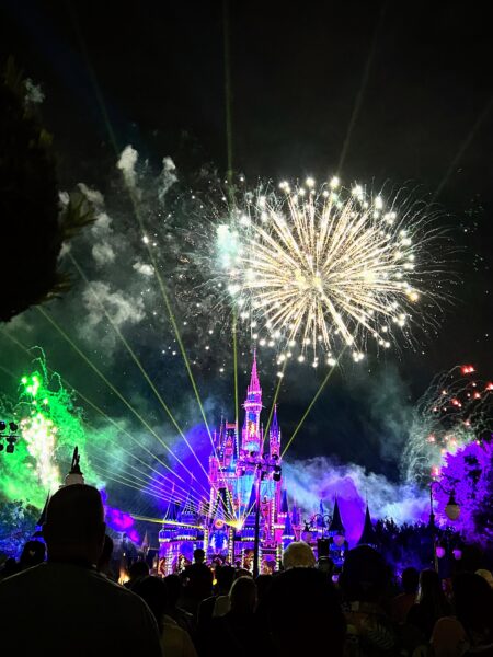 Magic Kingdom fireworks over Cinderella Castle at night, adult Disney trip