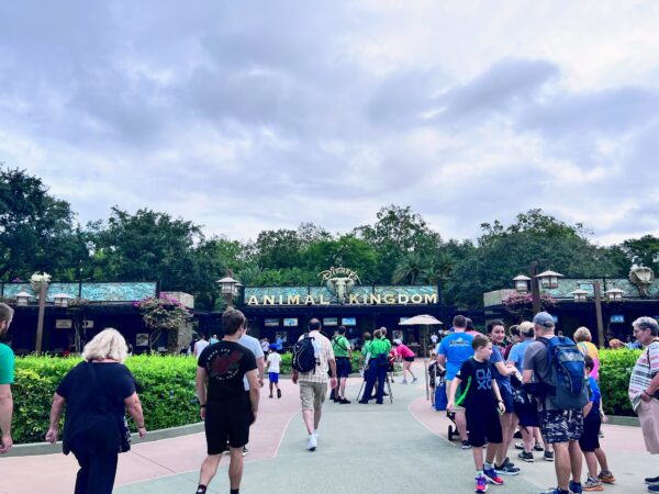 The entrance to Disney's Animal Kingdom.
