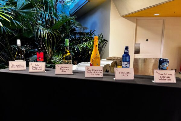 Wine and beer selection for a Disney bachelorette party, including Zolo Chardonnay and Bud Light.