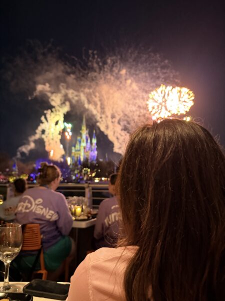 Adults watch Disney World fireworks show over Cinderella Castle during a group trip.
